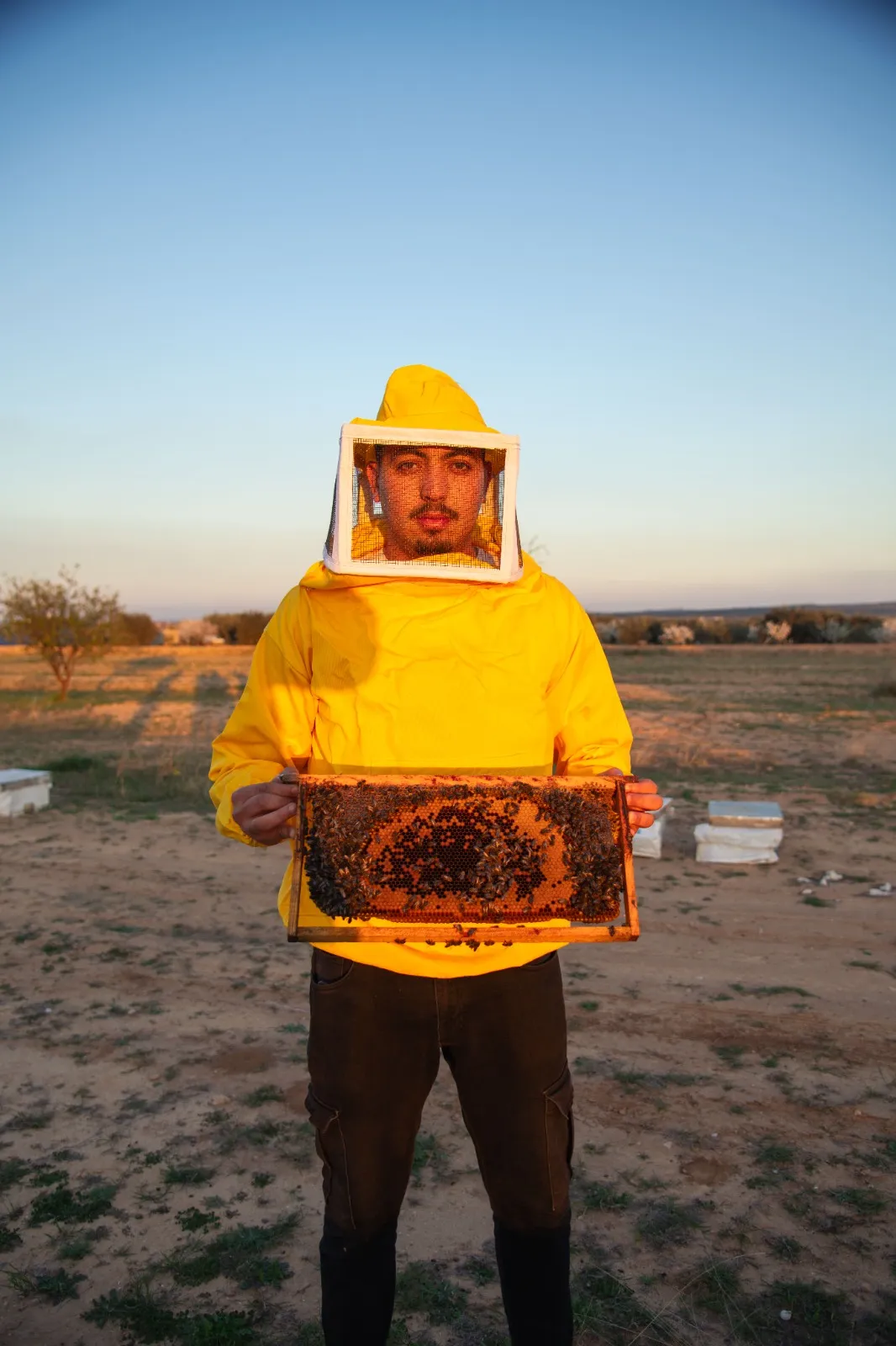 miel-tunisie-abeille-or-golden-bee-kairouan-baten-