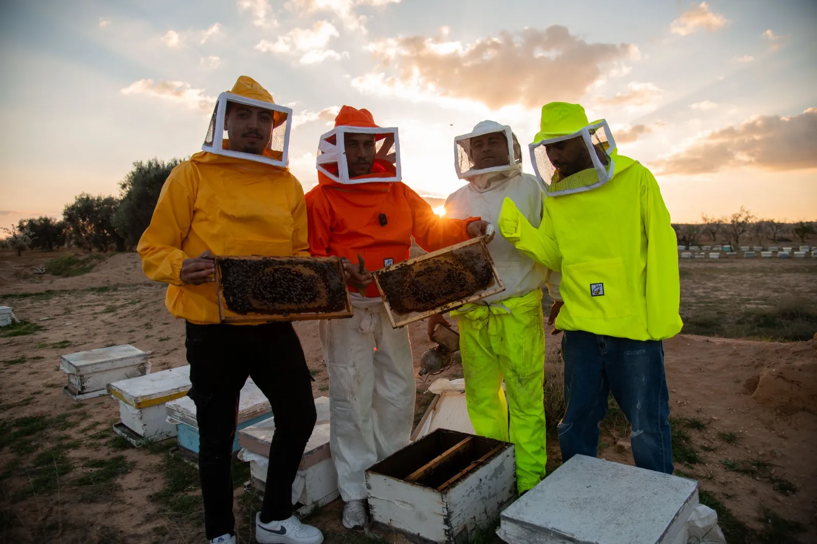 miel-tunisie-abeille-or-golden-bee-kairouan-dahech
